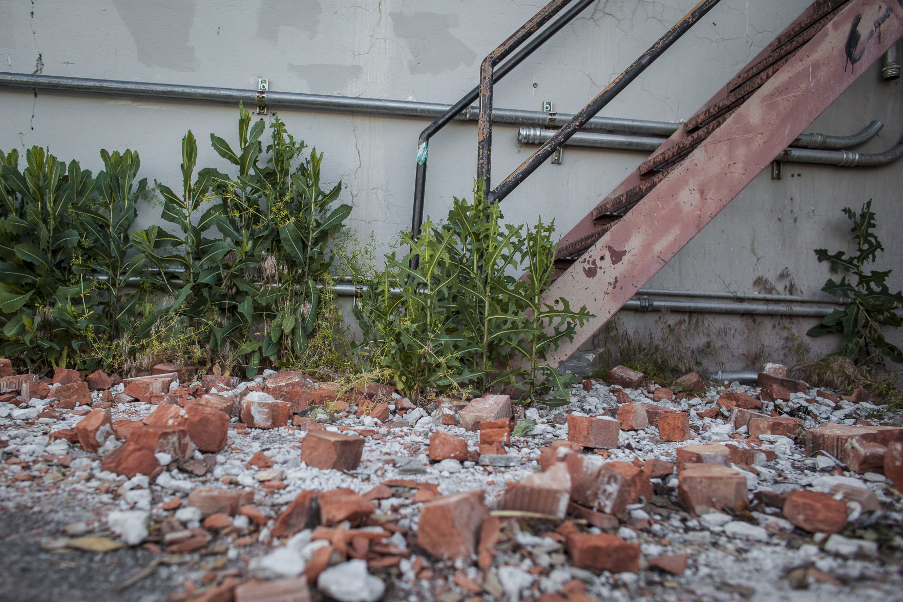 Willard Demolition 5